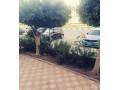 shk-llbyaa-fy-alnzh-alaabor-small-2