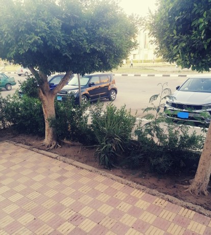shk-llbyaa-fy-alnzh-alaabor-big-2