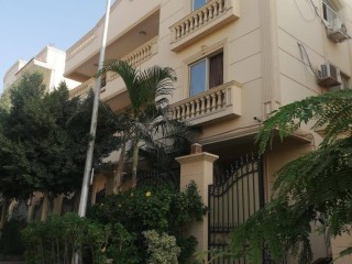 yla-llbyaa-fy-altgmaa-alkhams