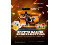next-gen-casino-sports-betting-script-fast-launch-big-profits-small-0
