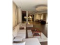 llbyaa-fyla-baltgmaa-alkhams-small-0