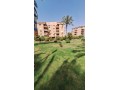 shk-llbyaa-bmdynh-alrhab-small-1