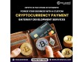 create-a-next-gen-crypto-payment-gateway-with-our-experts-small-0