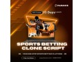 create-a-high-roi-sports-betting-platform-with-plurances-expertise-small-0