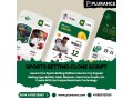 launch-your-aim-of-customizable-sports-betting-clone-script-with-plurance-small-0